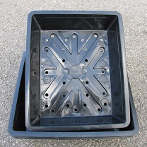 Seed trays