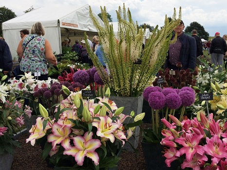 A display of flowers at Hyde Hall