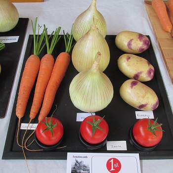 a display of vegetables on a board