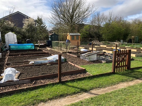 A properly cultivated allotment ready for the start of the season.