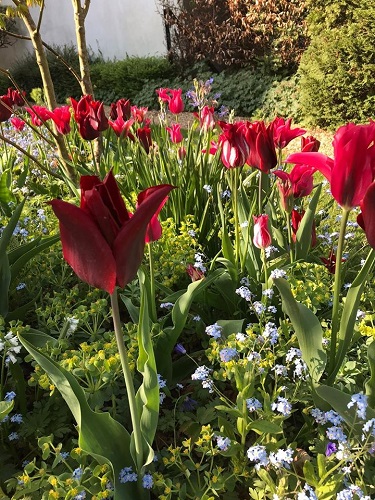 Another view of the red and blue bed