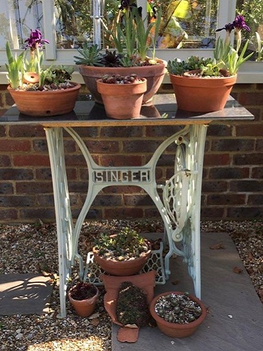 A Singer sewing machine stand used as a table with pots on