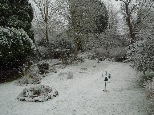 A snow covered garden