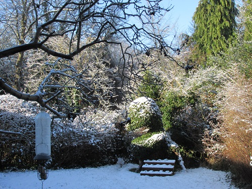 A snow covered garden