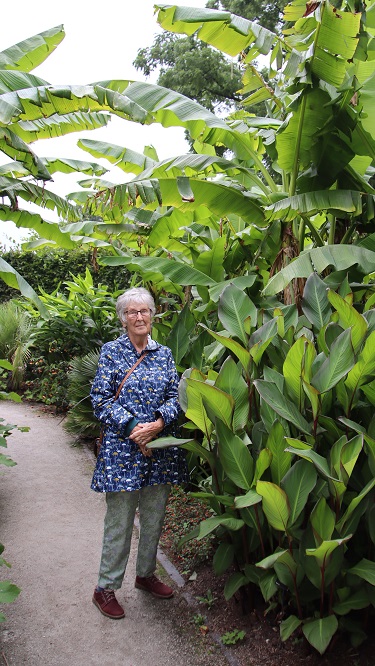 The Exotic Garden at Wisley