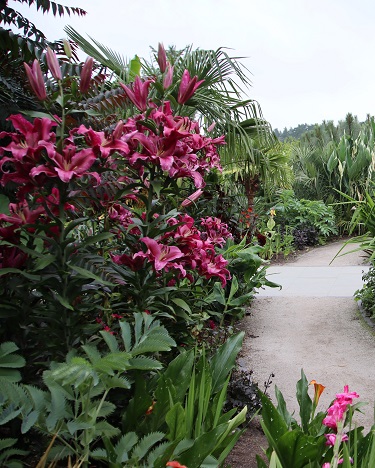 The Exotic Garden at Wisley