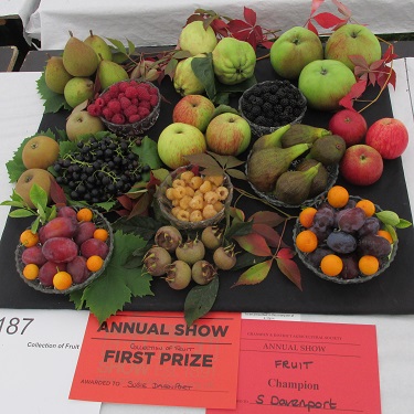 An award winning display of fruit