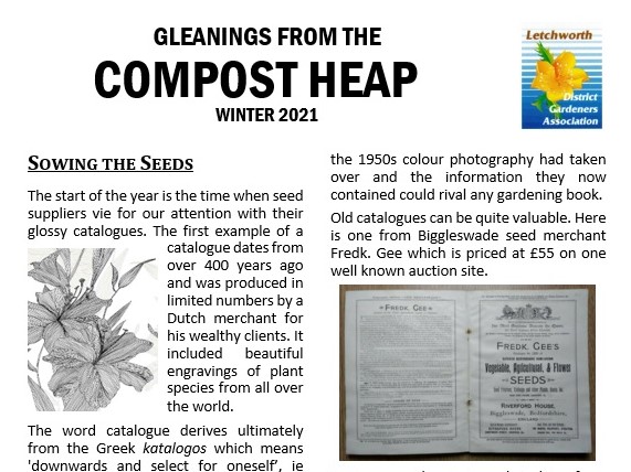 An image of the top half of a Compost Heap newsletter