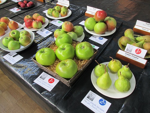 A display of apples and pears