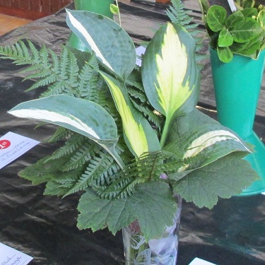 A vase of green foliage