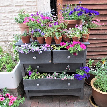 Old chest of drawers used as a planter