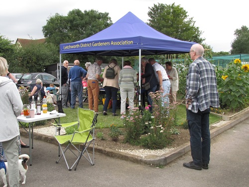 Garden party - members gathered under the gazebo