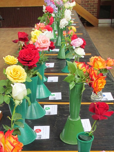 Summer Show - roses bench