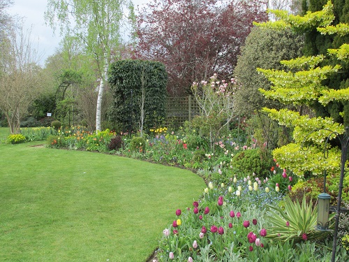 Lawn and sweeping border