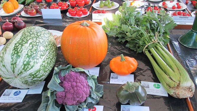 A Display of mixed vegetables