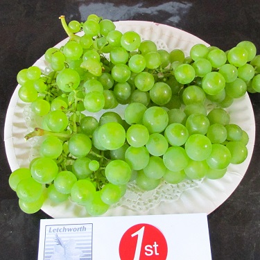 A bunch of grapes on a plate