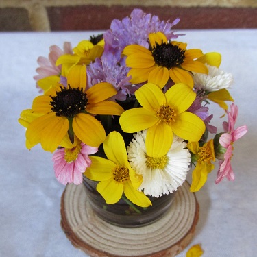 A miniature floral art exhibit 