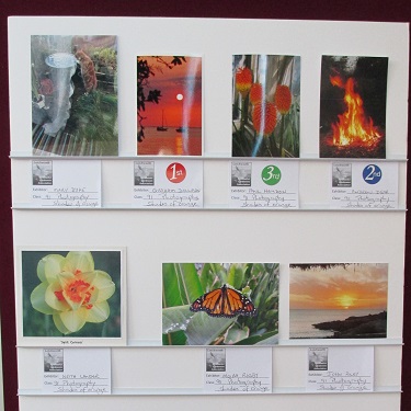 Photographic exhibits with an orange theme 