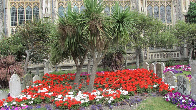 Grave stones surrounded by red geraniums