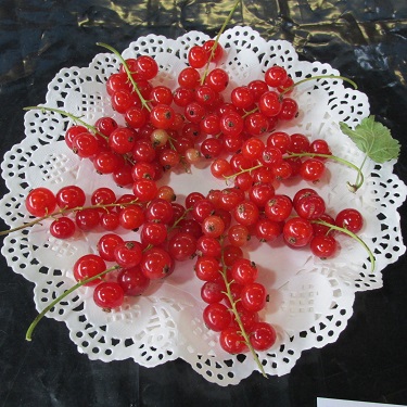 A plate of red currants arranged in a star shape