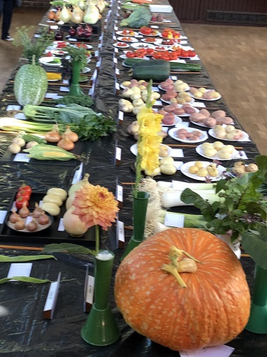 A long bench of vegetable exhibits