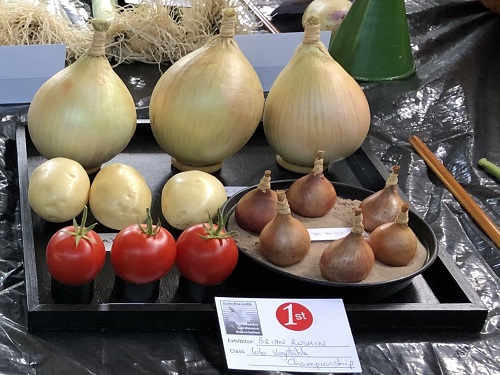 4 types of vegetables displayed on a board