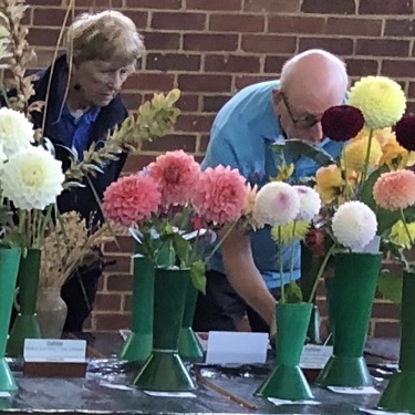 A closer inspection of some flower exhibits