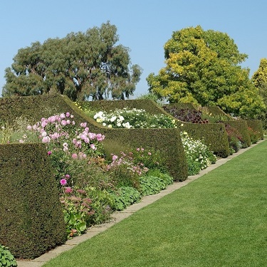 A border at RHS Hyde Hall