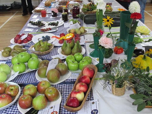 Apples and other fruit at Weston show