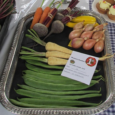 A collection of vegetables on a tray at Weston Show